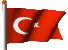 satl¹k sat¹l¹k palmiye a»ac¹ a»açlar¹ fidan¹ fide fideleri palmiyeler  palm tree peyzaj adana